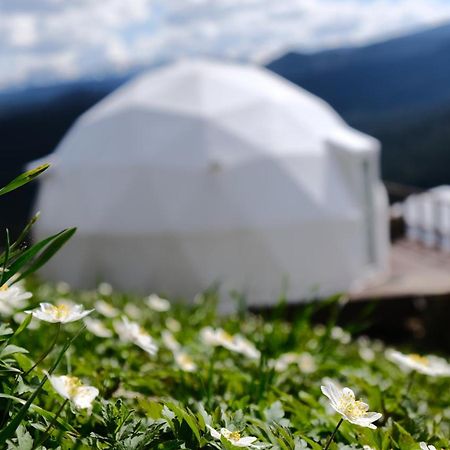 Глемпінг Де Вайб Hotel Vorohta Kültér fotó